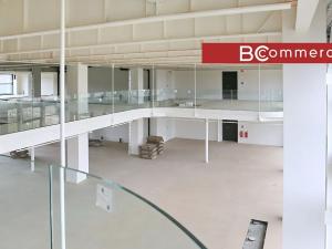 Pronájem kanceláře, Brno, Lazaretní, 900 m2