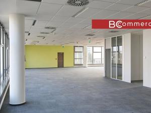 Pronájem kanceláře, Brno, 1000 m2