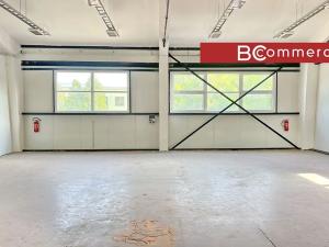 Pronájem skladu, Brno, 220 m2