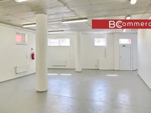 Pronájem obchodního prostoru, Brno, 145 m2