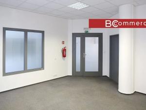 Pronájem obchodního prostoru, Brno, 145 m2