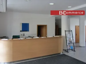 Pronájem kanceláře, Brno, 95 m2