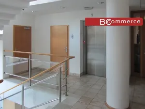Pronájem kanceláře, Brno, 95 m2