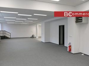 Pronájem kanceláře, Brno, Starobrněnská, 153 m2