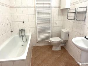 Pronájem bytu 1+kk, Olomouc, Fischerova, 37 m2