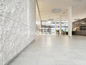 Pronájem kanceláře, Brno, Nové sady, 520 m2