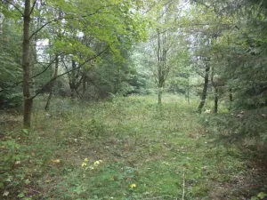 Dražba louky, Maňovice, 2639 m2