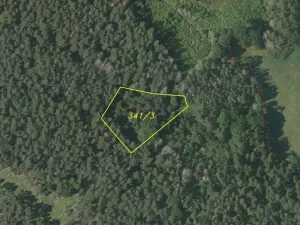 Dražba louky, Maňovice, 2639 m2