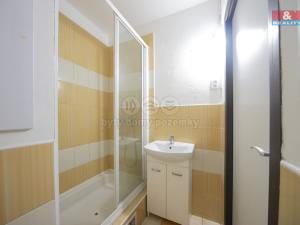 Prodej bytu 2+kk, Děčín - Děčín V-Rozbělesy, Závodní, 42 m2