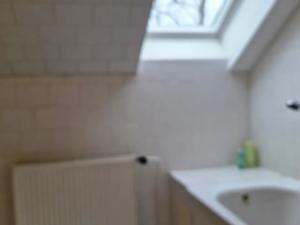 Prodej bytu 3+1, Vrbno pod Pradědem, 132 m2