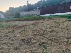 Pronájem zahrady, Plzeň, Pod Vinicemi, 1001 m2