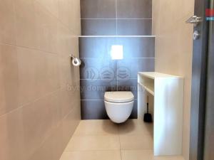 Pronájem bytu 2+kk, Liberec - Liberec XIV-Ruprechtice, U Koupaliště, 72 m2