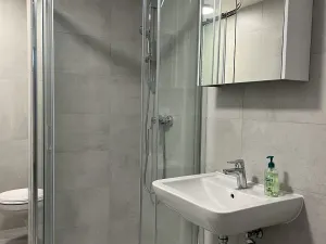 Prodej bytu 1+kk, Plzeň, Bolevecká, 28 m2