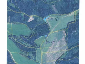 Dražba lesa, Dolní Dobrouč, 1614 m2