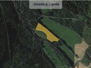 Prodej pole, Rapotín, 22010 m2