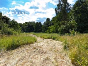 Prodej pozemku pro bydlení, Velemín, 5381 m2