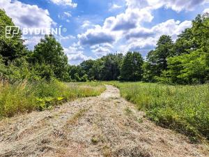 Prodej pozemku pro bydlení, Velemín, 5381 m2