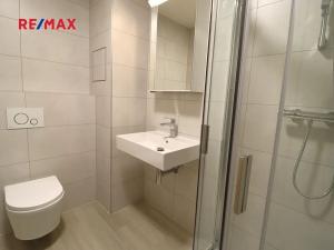 Pronájem bytu 1+kk, Praha - Hlubočepy, Na Zlíchově, 30 m2
