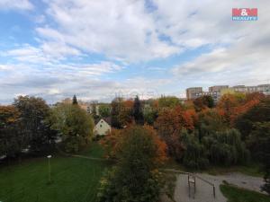 Prodej bytu 2+1, Havířov - Podlesí, Družstevnická, 49 m2