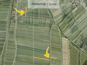 Prodej louky, Javorník, 1172 m2