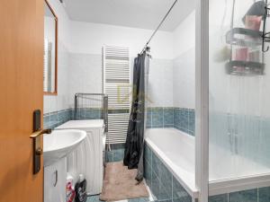 Prodej bytu 3+1, České Budějovice - České Budějovice 7, Plavská, 70 m2
