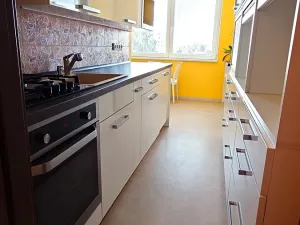 Prodej bytu 3+1, České Budějovice, Fr. Ondříčka, 70 m2