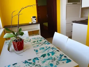 Prodej bytu 3+1, České Budějovice, Fr. Ondříčka, 70 m2