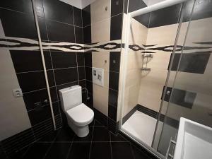 Pronájem bytu 2+kk, Liberec, Dlážděná, 44 m2