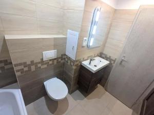 Pronájem bytu 2+1, Ústí nad Labem, Opletalova, 62 m2