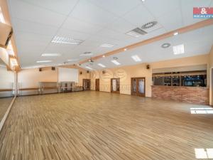 Pronájem komerční nemovitosti, Letkov, Plzeňská, 645 m2
