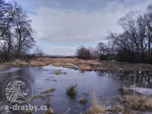 Dražba pozemku, Janovice nad Úhlavou, 4609 m2