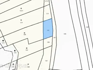 Dražba pozemku, Janovice nad Úhlavou, 4609 m2