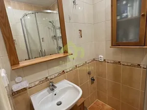 Pronájem bytu 2+1, Plzeň, Strnadova, 54 m2