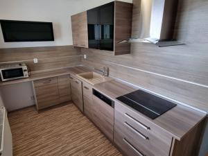 Pronájem bytu 2+kk, Brno, Ludmily Konečné, 57 m2