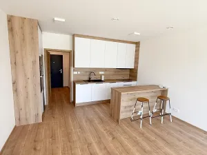Pronájem bytu 1+kk, Přerov, Seifertova, 39 m2