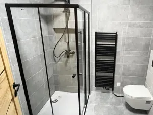 Pronájem bytu 1+kk, Přerov, Seifertova, 39 m2