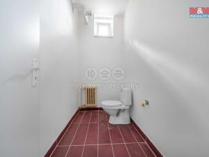 Pronájem bytu 1+kk, Strašice, 51 m2