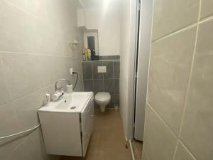 Pronájem bytu 1+kk, Luhačovice, 18 m2