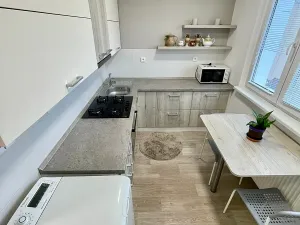 Pronájem bytu 2+1, Lovosice, Palackého, 65 m2