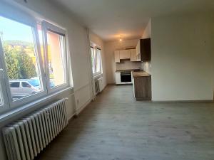 Pronájem bytu 2+kk, Kamenný Přívoz, 50 m2