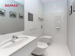 Pronájem bytu 4+kk, Praha - Podolí, Na hřebenech I, 160 m2