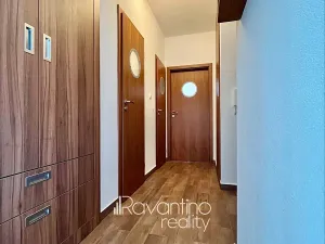 Pronájem bytu 2+kk, Brno, Jakuba Obrovského, 48 m2