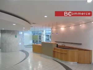 Pronájem kanceláře, Brno, 200 m2