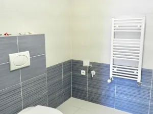 Pronájem bytu 3+kk, Praha - Žižkov, Fibichova, 80 m2