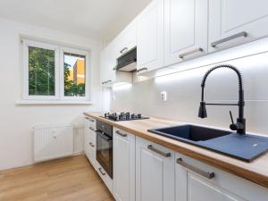 Pronájem bytu 3+1, Ostrava - Hrabůvka, Provaznická, 54 m2