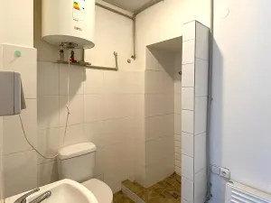 Pronájem obchodního prostoru, Brandýs nad Labem-Stará Boleslav, 60 m2