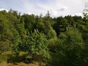 Prodej chaty, Ochoz u Brna, 42 m2
