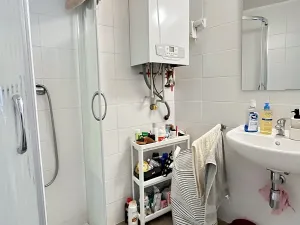 Pronájem bytu 1+1, Brno, Botanická, 41 m2