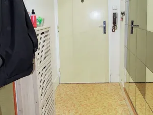 Pronájem bytu 1+1, Brno, Botanická, 41 m2