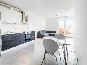 Pronájem bytu 2+kk, Praha - Žižkov, Olgy Havlové, 57 m2